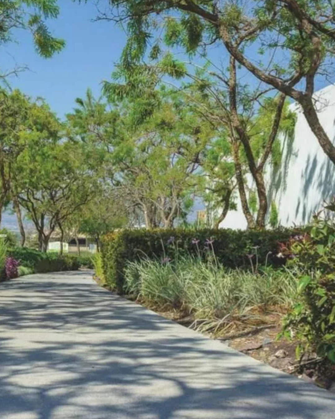 Casa Grecia, Zarú - Image 7