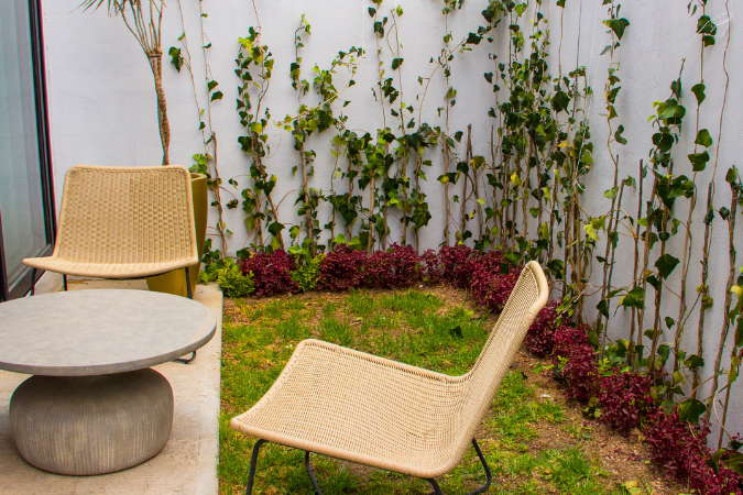 Casa Isabella RG, Pachuca, Hgo. - Image 4