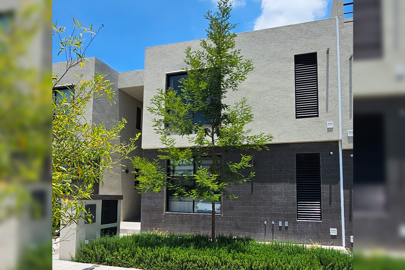 Departamento Olivo, Ziré - Image 2